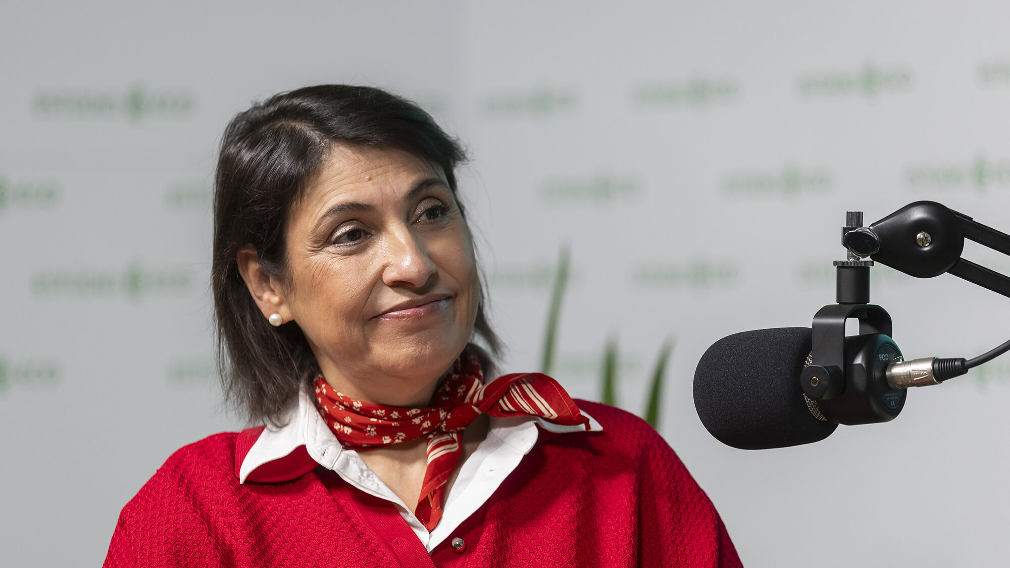 Preocupados com Páscoa, contabilistas pedem novo prazo para entregar ficheiro SAF-T