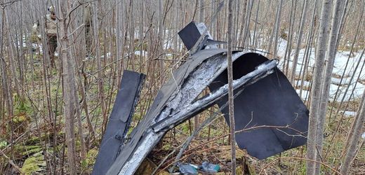 Ukraine-Krieg: Drohnen in Estland und Lettland abgestürzt – Kraftwerk getroffen