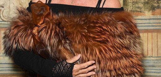 Ursula Andress: Ermittler kommen offenbar fehlenden Millionen auf die Spur