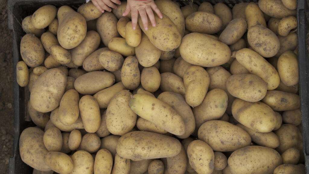 法国镉污染为何比其他欧洲国家高数倍？