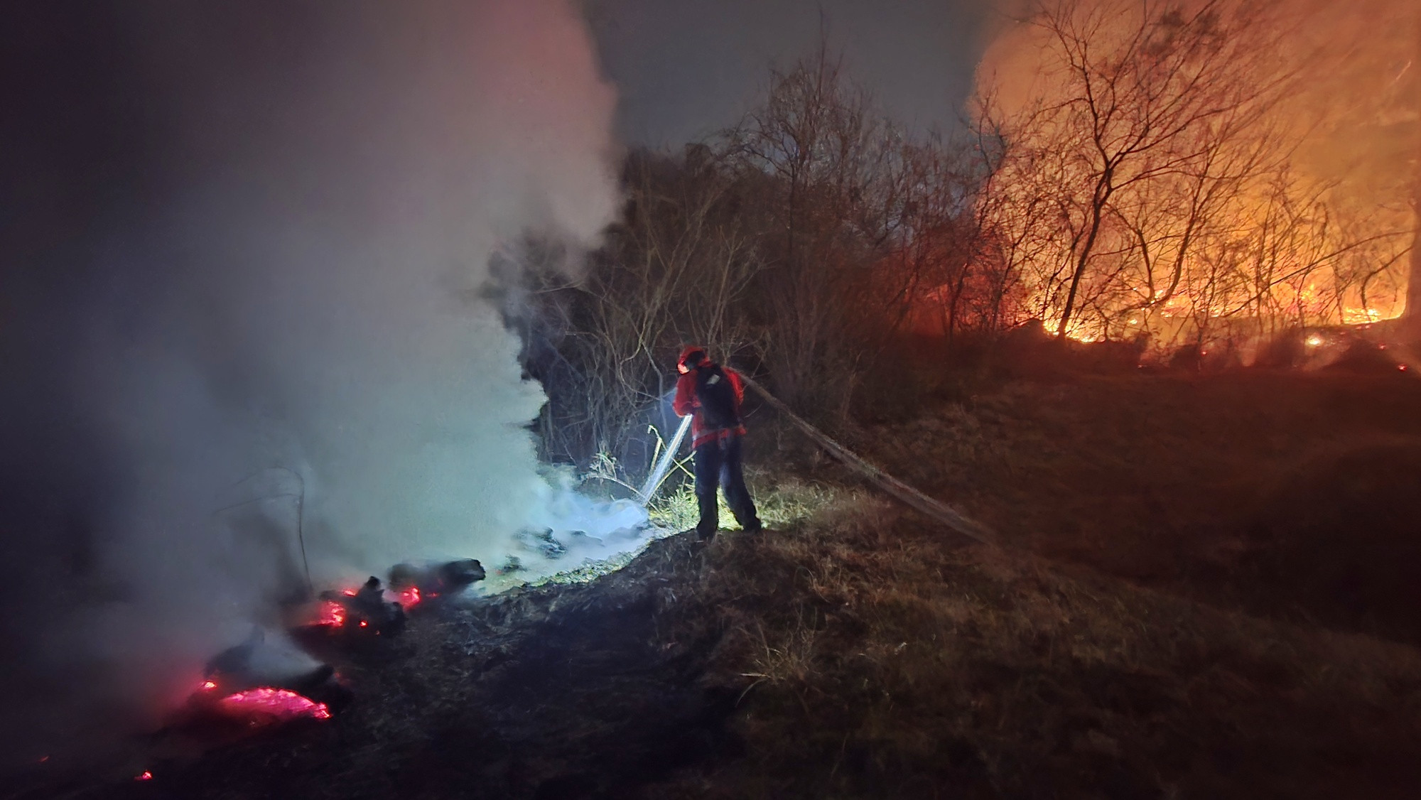 산림청, 산불재난 국가위기경보 '경계' 단계 발령