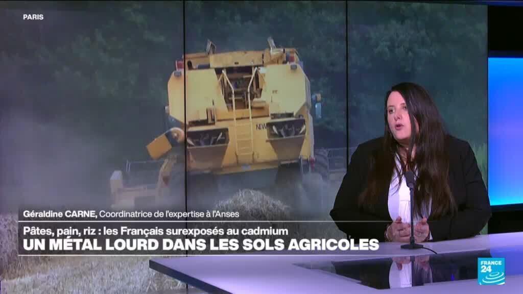 Les Français surexposés au cadmium, métal cancérogène présent dans l'alimentation