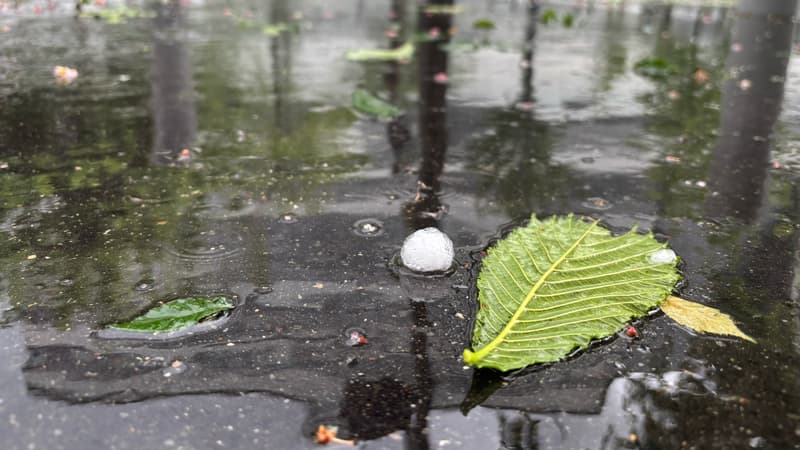 Un montant bien au dessus de la période 2010-2019: la facture des sinistres climatiques grimpe à 5,2 milliards d'euros en 2025, notamment à cause de la grêle