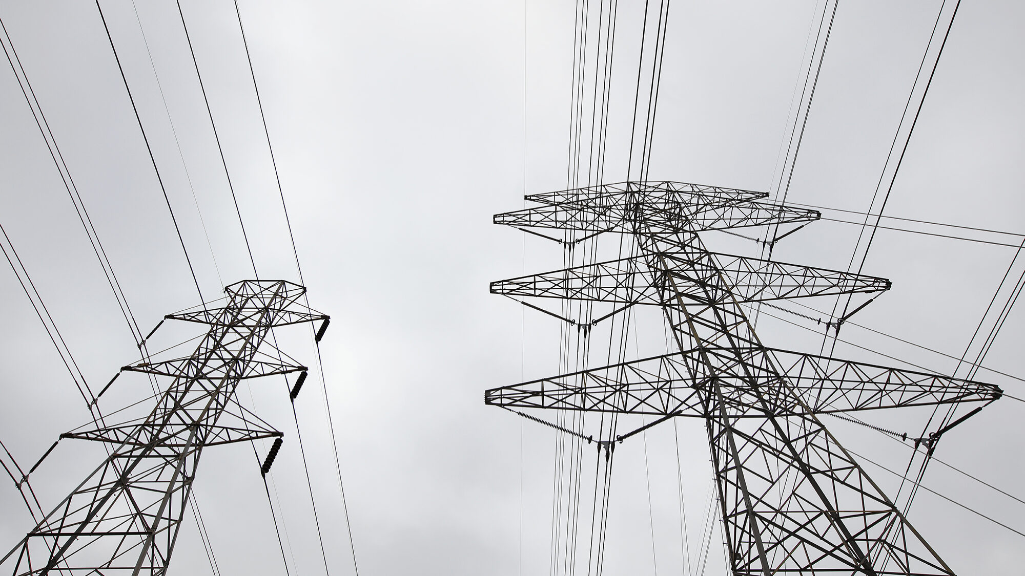 Meo Energia lança tarifa dinâmica para empresas