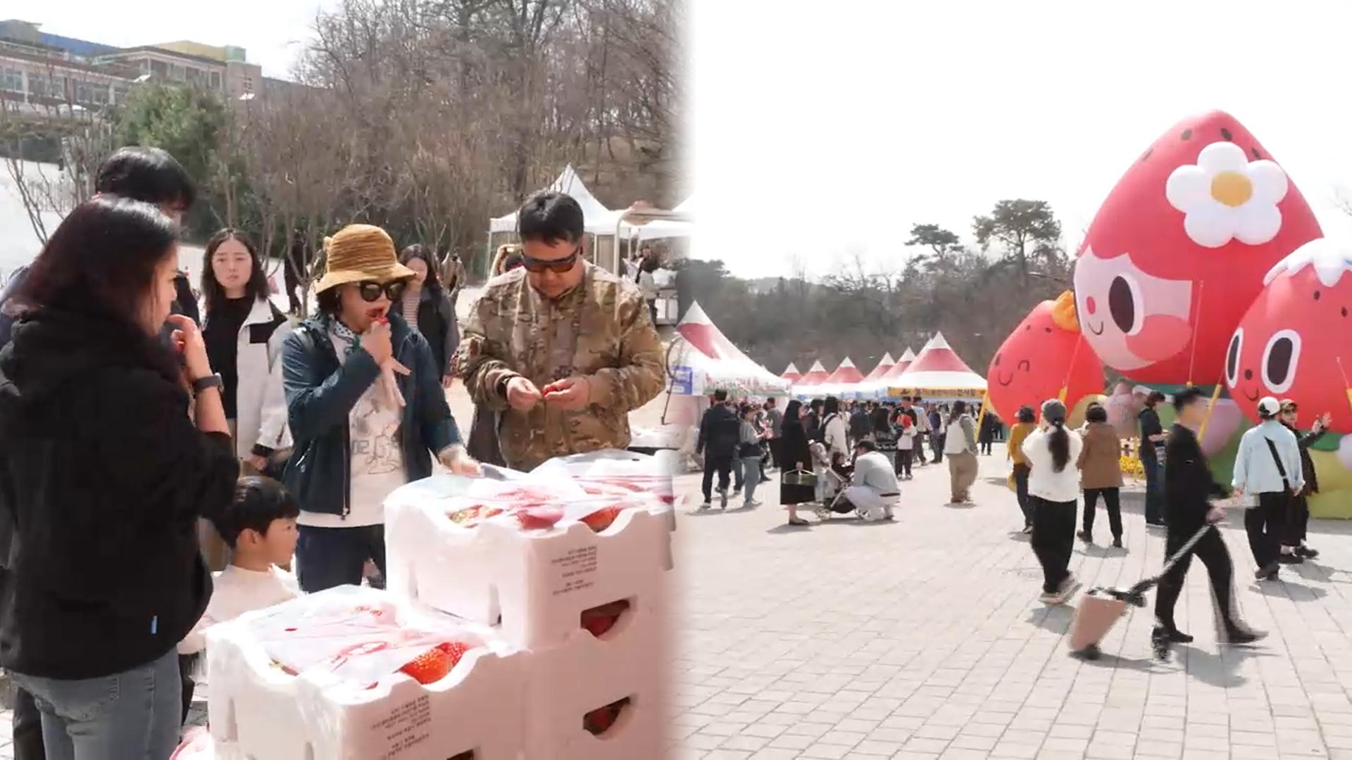 논산딸기축제 개막…체험행사 '풍성'