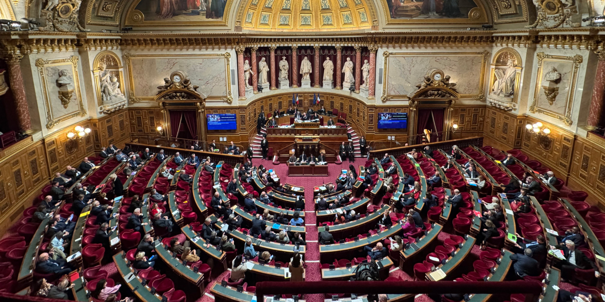 Le texte sur l'interdiction des réseaux sociaux aux moins de 15 ans arrive au Sénat