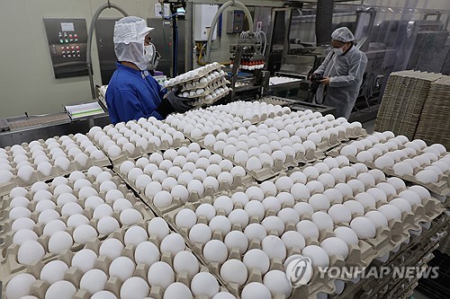 정부, 태국산 계란 224만개 수입 추진…내달 판매 예정