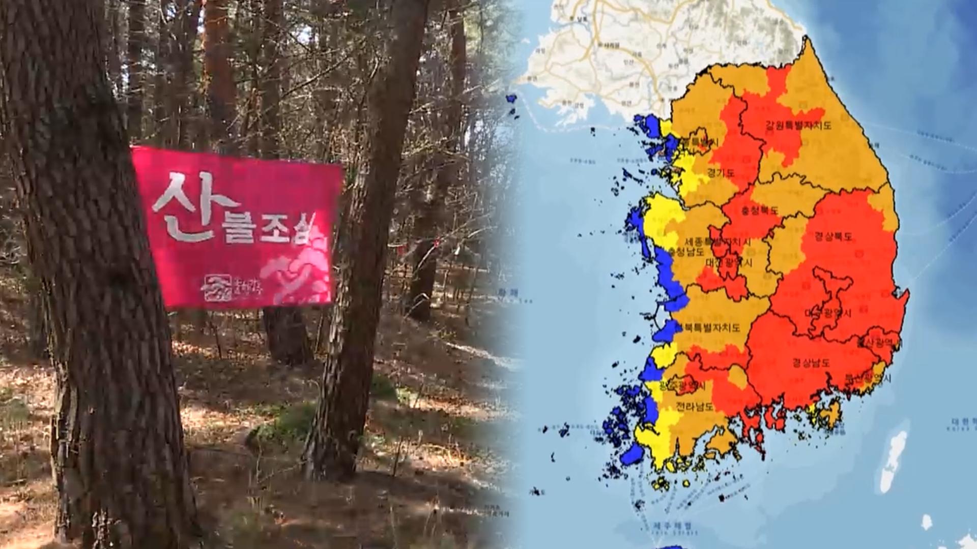 메마른 봄바람에 건조특보…산불위험지수 높음