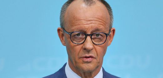 Stiftung Flucht, Vertreibung, Versöhnung: Friedrich Merz spricht Machtwort