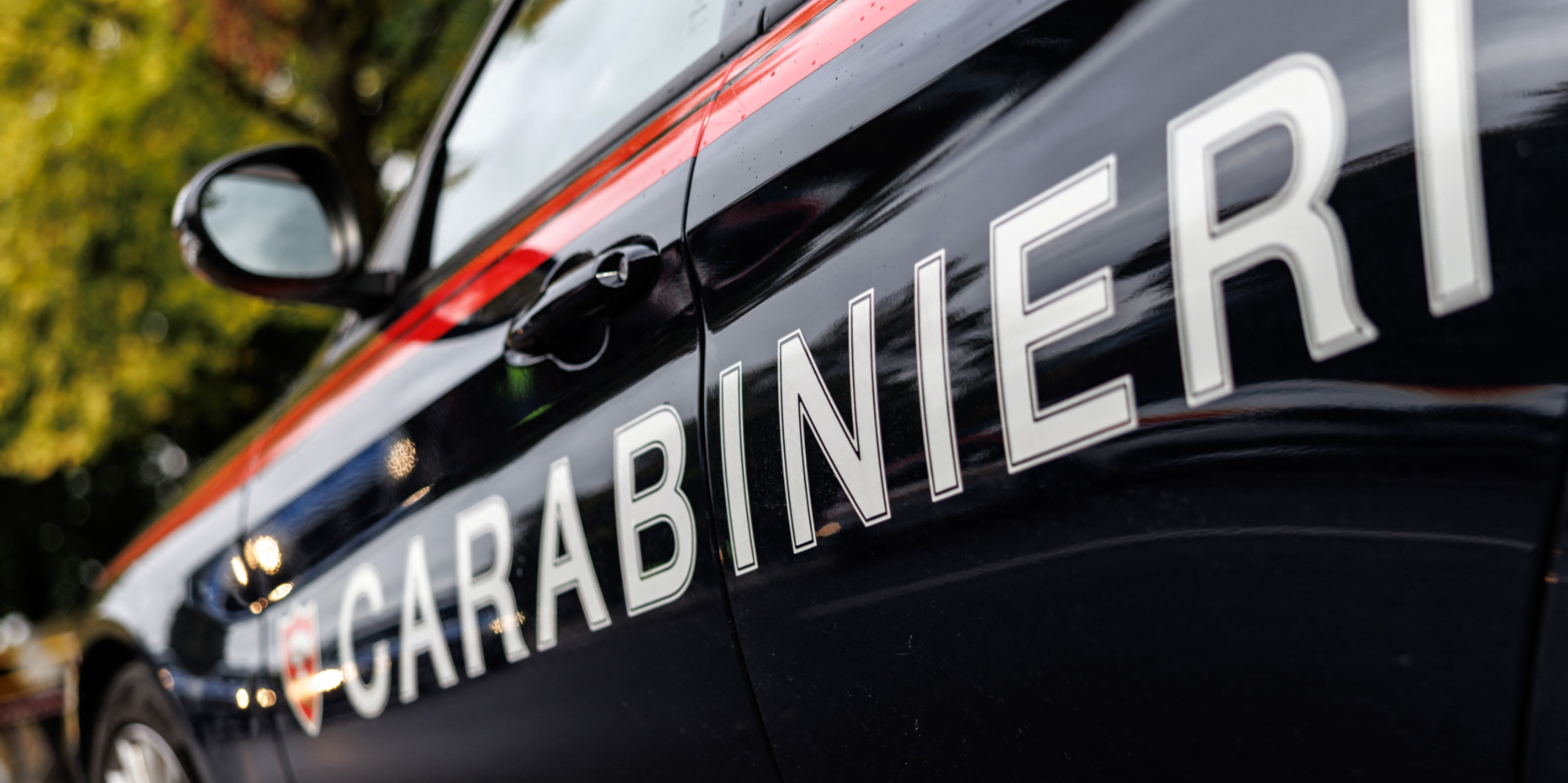 Italie : saisie d'anacondas, de pythons et de boas détenus illégalement