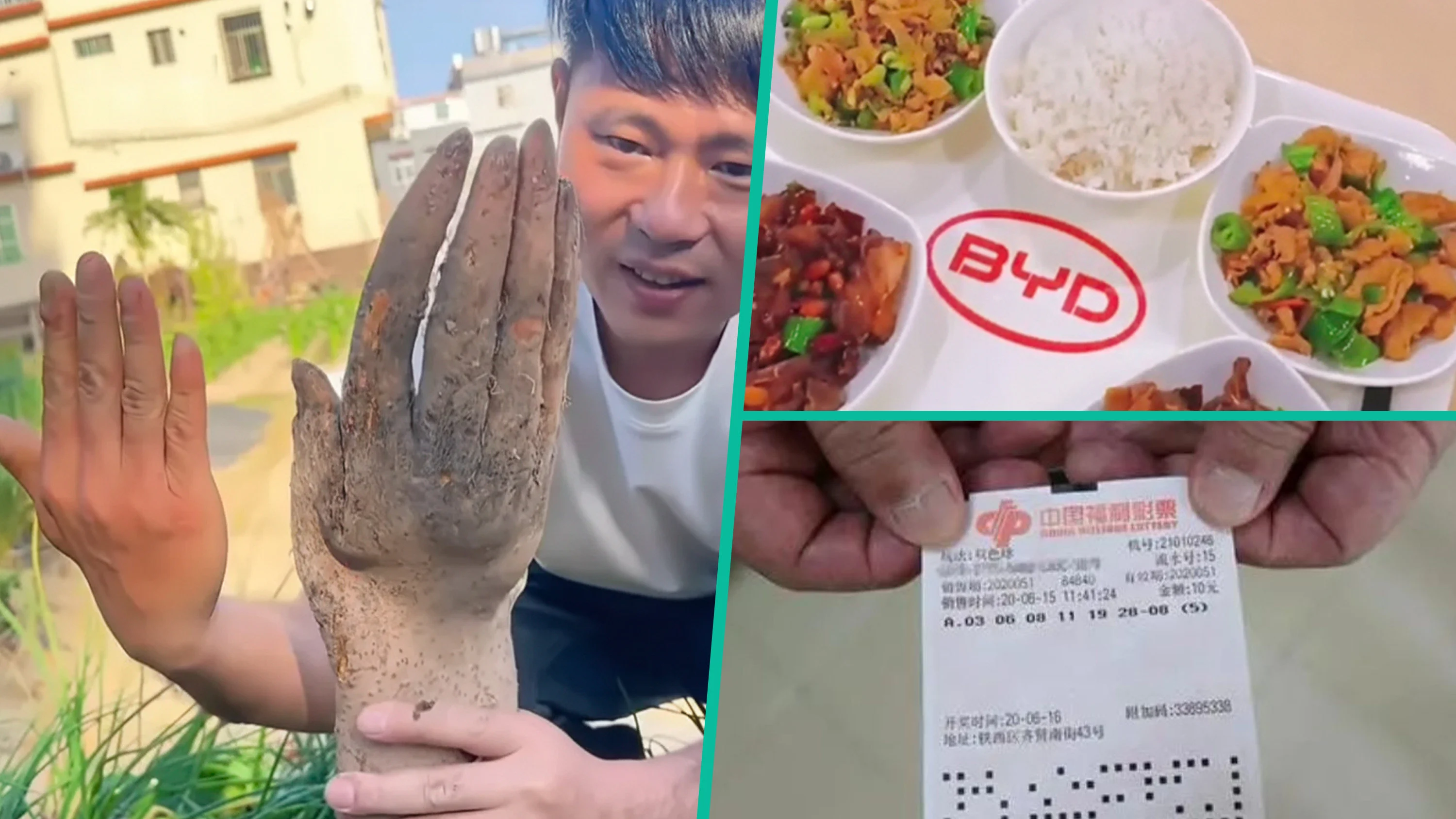 China yam with human ‘fingernails’, 260 free meals, lottery win after lifetime of playing