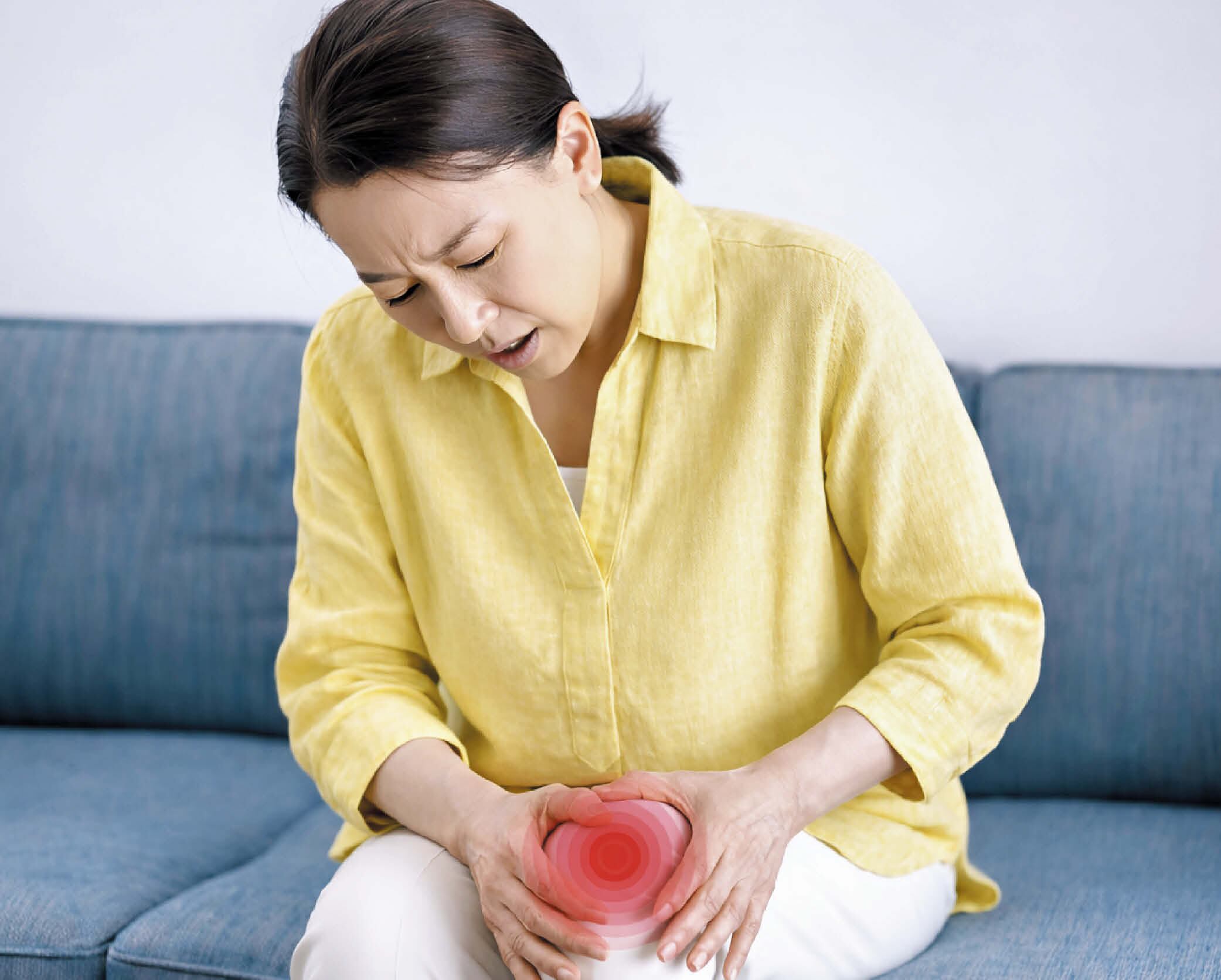 소 유래 콘드로이친으로 연골 관리