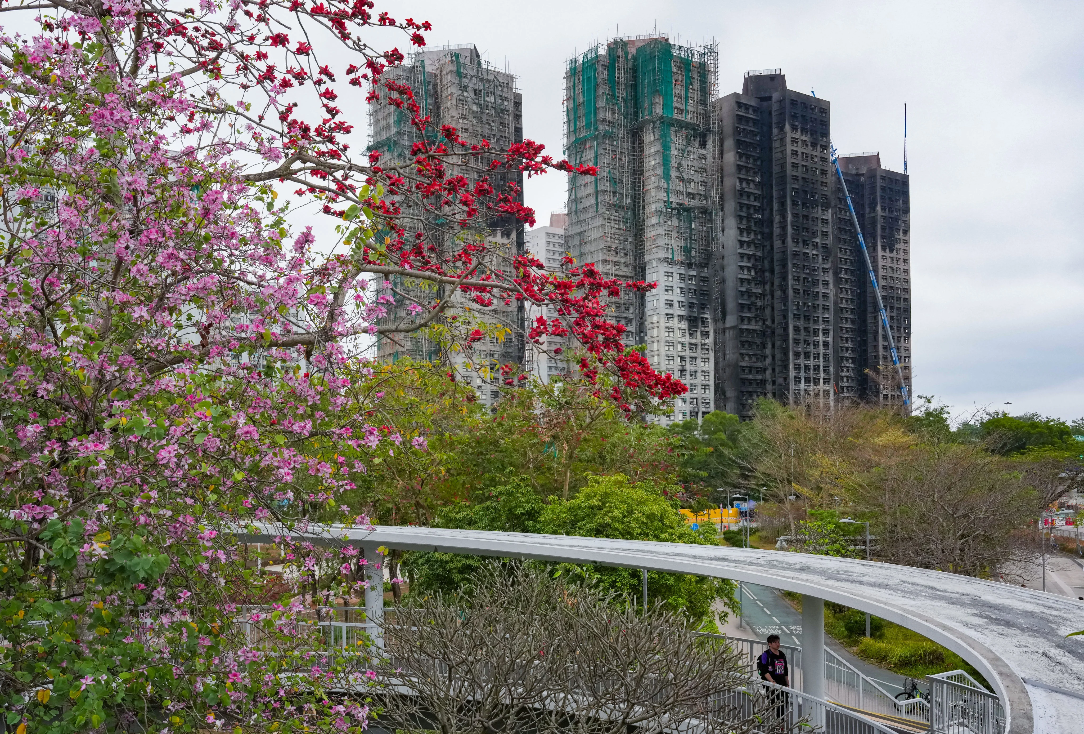 Police hotline ‘busy’, piles of rubbish at estate, residents say in Tai Po fire hearing