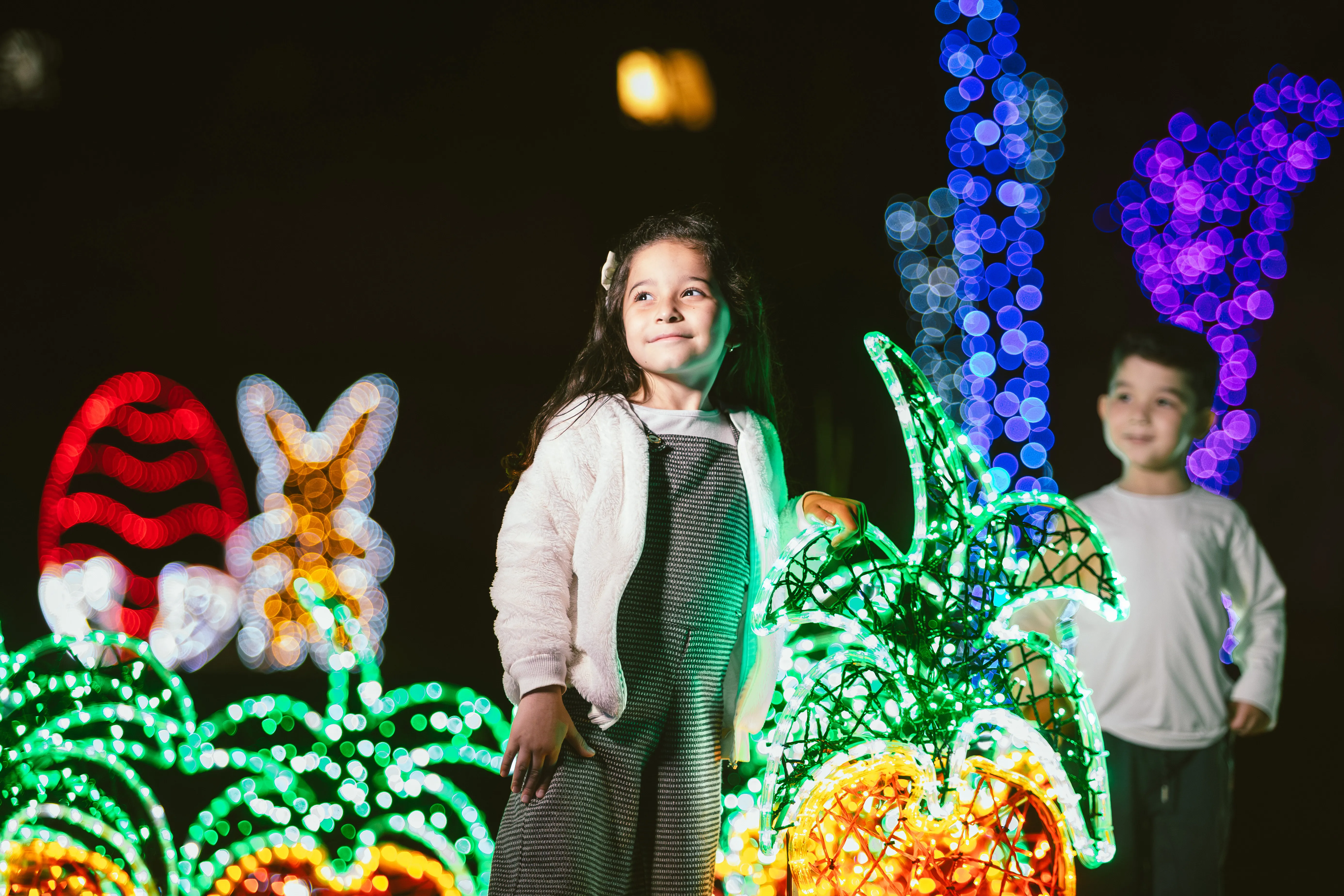 Bosque do Coelho em São José dos Pinhais: veja atrações e como visitar