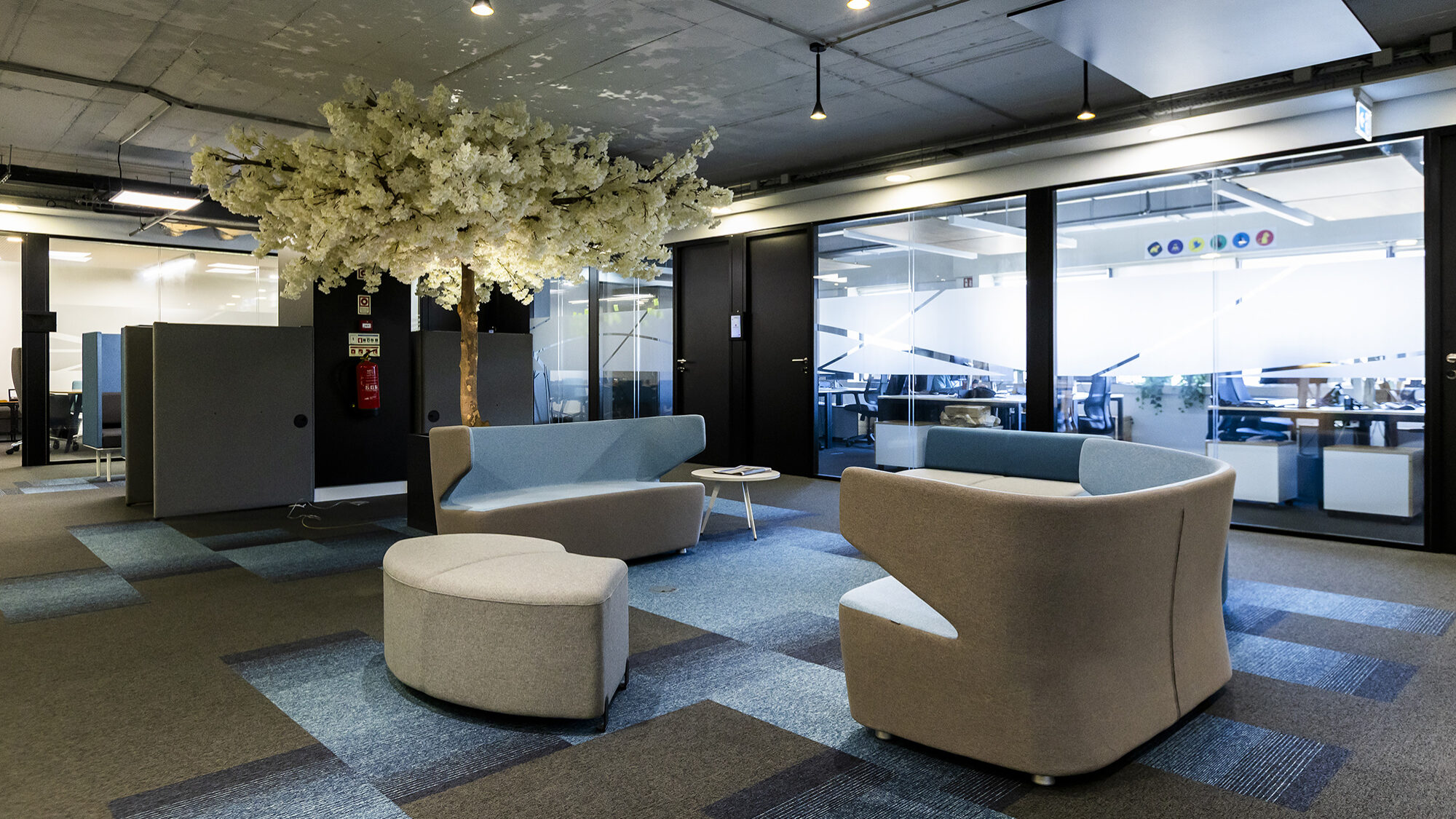 Spear Legal quer conquistar espaço no mercado fiscal