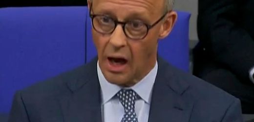 Friedrich Merz: »Ein beachtlicher Teil dieser Gewalt aus den Gruppen der Zuwanderer«