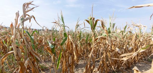 Klimawandel: Extreme Folgen schon bei Erwärmung um zwei Grad möglich