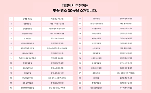 벚꽃 보러 어디 가지…티맵, 전국 '벚꽃 명소' 30곳 공개