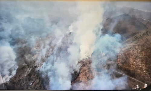 포항 군부대 사격장 불발탄 폭발로 산불…헬기 20대 투입 집중 진화