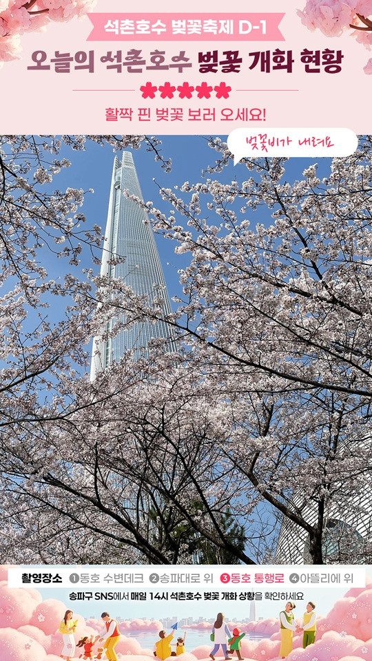 서울 석촌호수 벚꽃 '개화 카운트다운' SNS에서 확인하세요